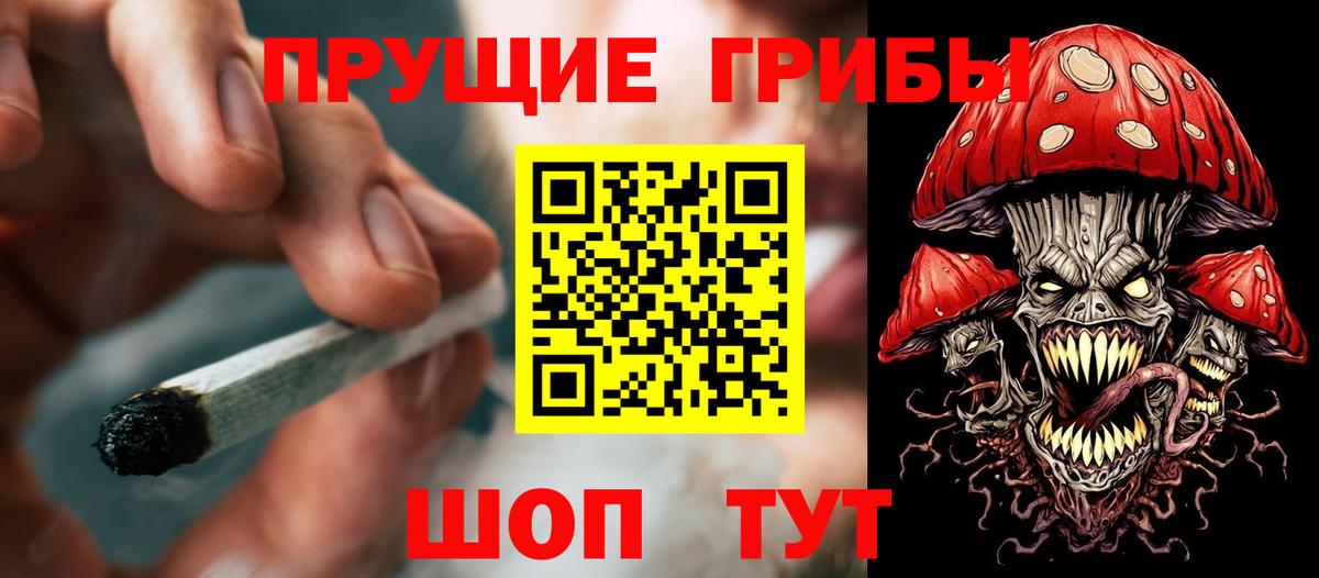 Галлюциногенные грибы GOLDEN TEACHER  Вход с VPN  Великий Новгород  Галлюциногенные грибы Magic Shrooms 